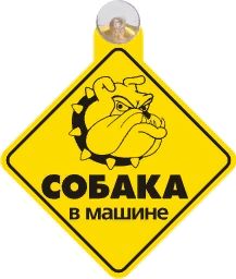 Табличка на присоске Злая собака в машине _